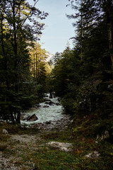 Herbsttag in den Bergen in Tirol Österreich