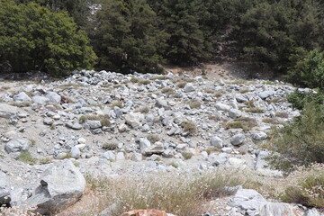 mountain river in the mountains