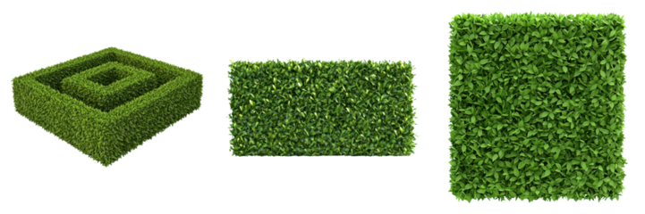 Low poly hedge maze featuring sharp edges and vibrant green foliage on transparent background