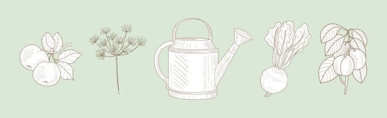 Sketch Garden Vegetable and Fresh Agricultural Crop Vector Set