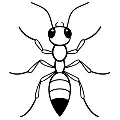 ant