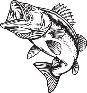 black and white bass fish jumping clip art preview