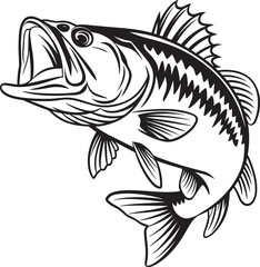 Bass fish vector illustration sketch of largemouth perch fish