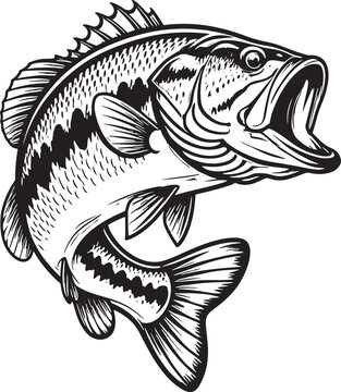 black and white bass fish jumping clip art preview