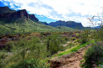 Salt River Recreation Area Arizona