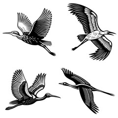 Bird In Flight High Quality Editable Vector Design And Illustration