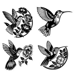 Humming Bird Hovering High Quality Editable Vector Design And Illustration
