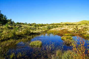 View of the landscape and a body of water on the North Frisian island of Amrum. Nature in the dunes.
