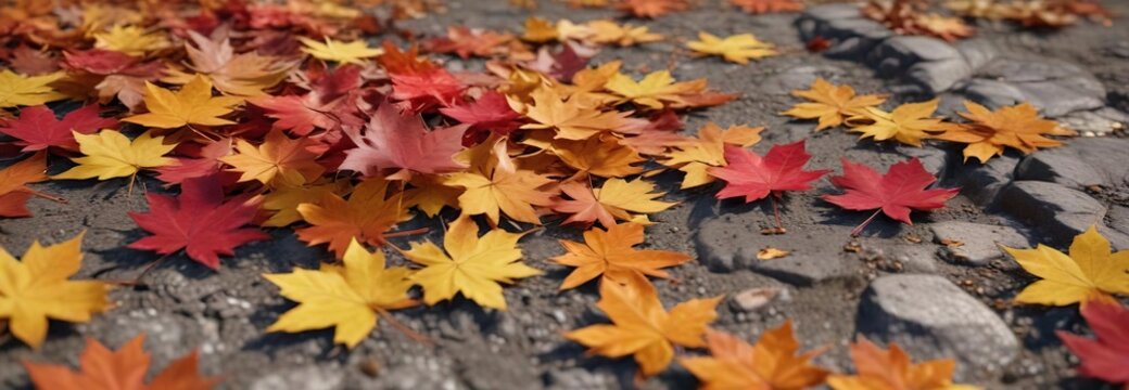 Maple leaves scattered on the ground in vibrant colors, colorful leaves, maple leaves