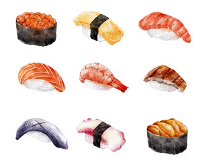 お寿司　9巻　イラスト　手書き　水彩タッチ