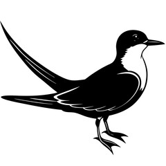 silhouette vector