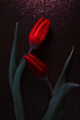 Naklejka premium Wiosenne tło, tulipany na czarnym tle, trendy 2025 