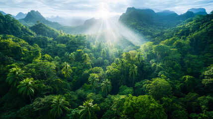 Obraz premium Lush Tropical Rainforest Landscape with Sunbeams Illuminating Green Canopy and Mountain Peaks