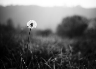 Foto scattata attorno alle colline di Tassarolo durante il periodo autunnale.