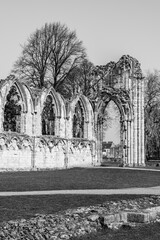 York, Yorkshire, England, UK: Ruins of Saint. Mary's Abbey; ruins of medieval gothic church in black and white