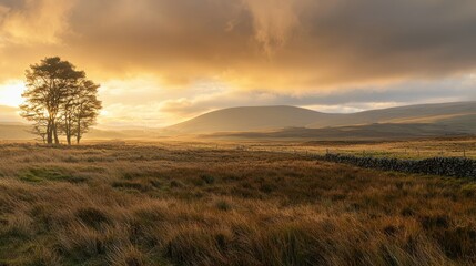 Fototapeta premium A breathtaking sunset casting golden light over a peaceful countryside landscape
