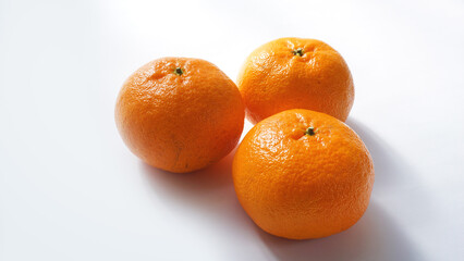 西南のひかり