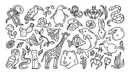 Black and white nature doodle illustration