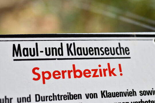 Burgdorf, Germany - January 22, 2025: Warning sign with the text Foot and mouth disease - restricted area - in German: Maul und Klauenseuche