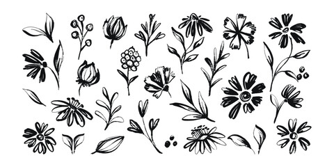 Set of Grunge Flower Head Collection Hand Drawn with Black Ink Isolated on White Background. Dry ink strokes of herb silhouettes. Brush dry painting of field plants
