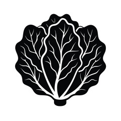 leafy lettuce silhouette vector illustration