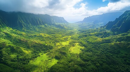 Obraz premium Panoramic aerial view of a diverse forest, showcasing the rich tapestry of verdant hues from its lush vegetation. 
