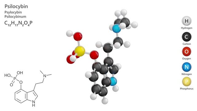 Psilocybin. Hallucinogen. Animated 3D model of a molecule. Molecular formula: C12H17N2O4P . Chemical model: Ball and sticks. White background. 3D rendering. Seamless loop.