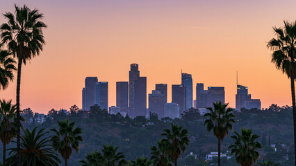 Los Angeles skyline with palm trees in the foreground