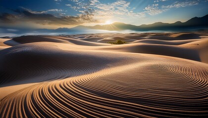 Naklejka premium sunrise in the desert