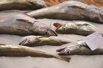 Fish market in Catania, Italy