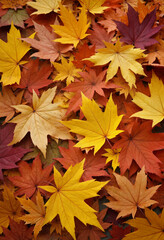 Fototapeta premium Autumn leaves background