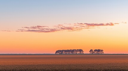 Fototapeta premium Serene Sunset Over Open Field with Hues of Orange and Pink Illuminating the Sky