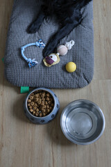 Une gamelle d'eau et de croquette pour chien à coté d'un cousin
