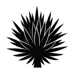 Potted Aloe Vera Plant Vector