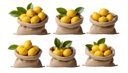 Set of fresh delicious lemon fruits in burlap sacks png 