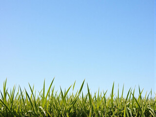 A light bulb with a plant inside of it