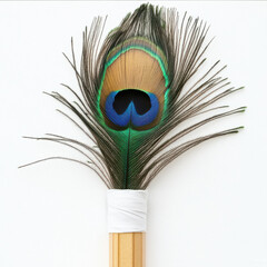 Obraz premium pencil wrapped up with peacock feather on white background