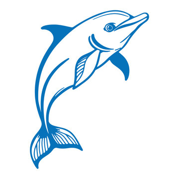 Blu coolor line art iconic style dolphine design with a white backraund