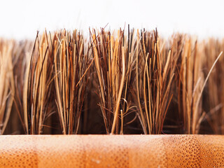 Bristles on a brush