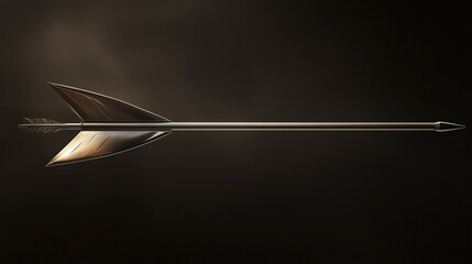 Fototapeta premium A long arrow with a pointy tip