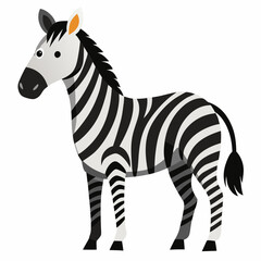 zebra vector illustration