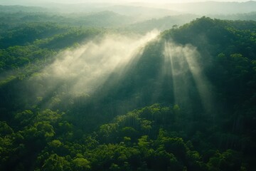 A serene landscape showcasing lush green hills with soft rays of sunlight filtering through mist, creating an ethereal atmosphere.