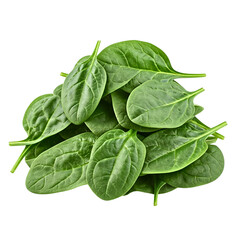 Fototapeta premium spinach leaves isolated on transparent background