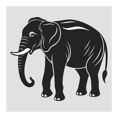 Fototapeta premium African Wild Elephant Vector Images.