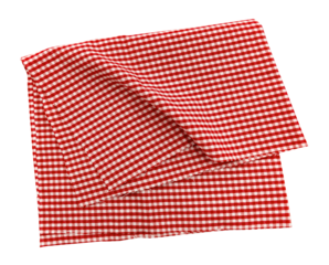 Piece of torn crumpled checkered fabric on a white background. Textile. Cellular tissue isolate