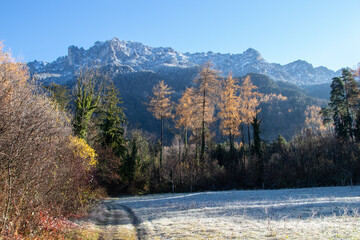 Snow-capped mountains with golden autumn trees in the foreground, illuminated by morning sunlight
