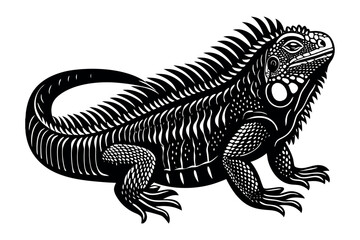 iguana animal