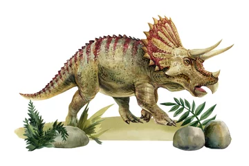 Realistic Triceratops dinosaur illustration isolated, hand-painted dino art, animal vintage style. Dinosaurs watercolor