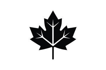 Canadian maple leaf black silhouette vector, maple leaf icon design 