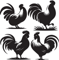 Webchicken sitting poses, chicken silhouette, chicken vector, black and white chicken
